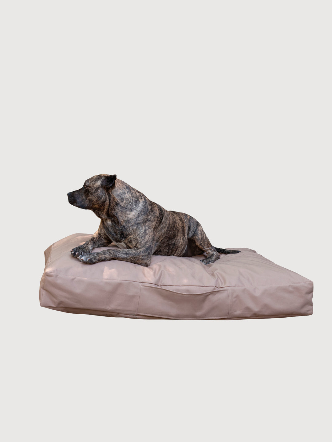 Cama Mascotas Lona PUF - Arena