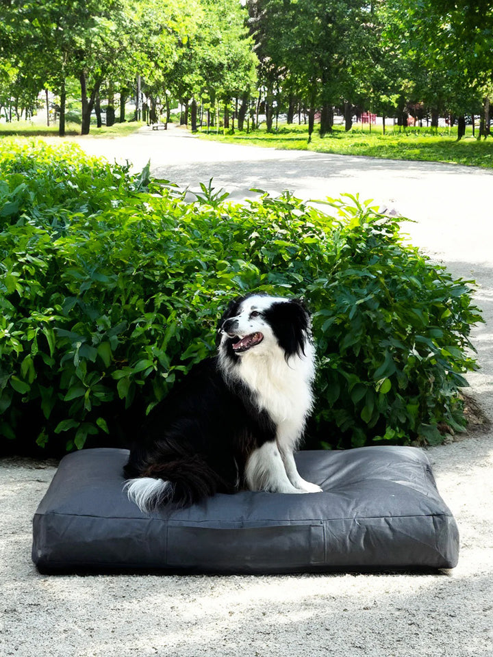 Cama Mascotas Lona PUF - Gris Oscuro