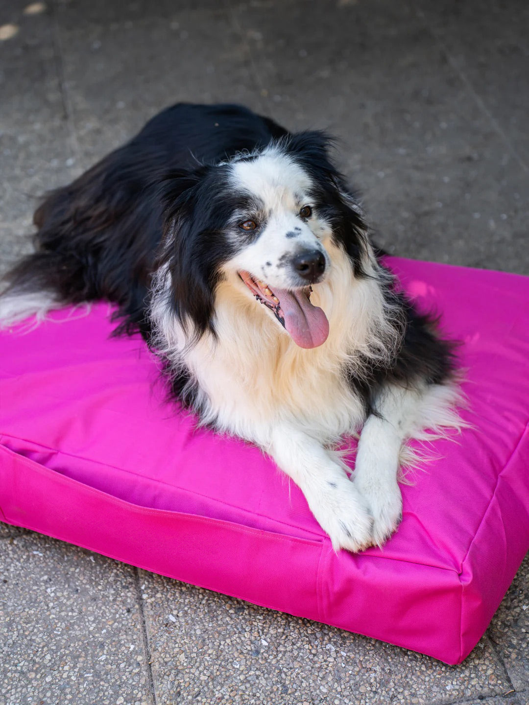 Cama Mascotas Lona PUF - Fucsia