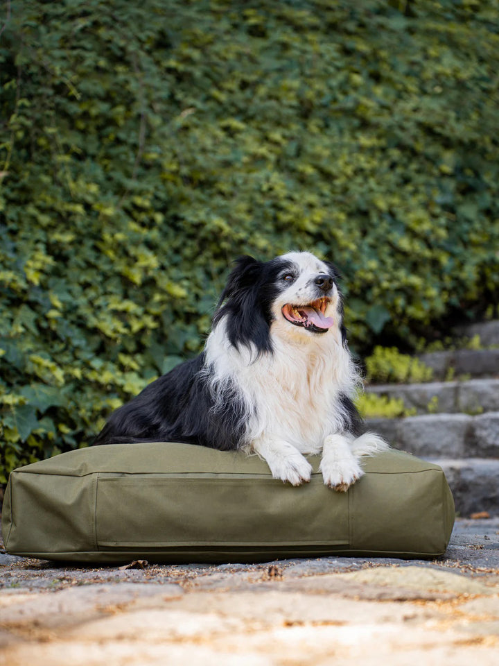 Cama Mascotas Lona PUF - Verde Militar