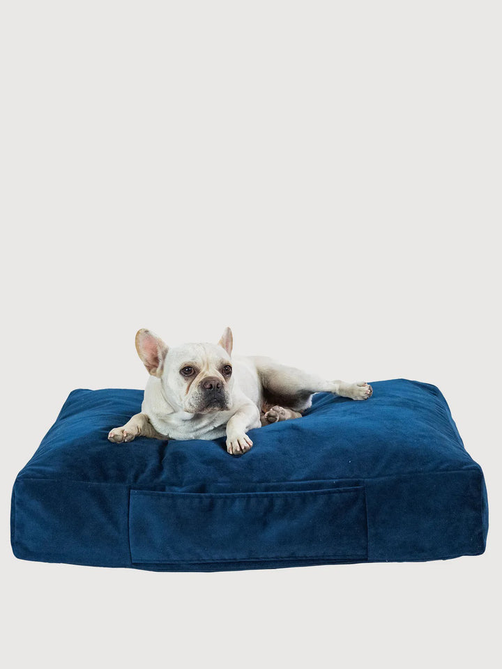 Cama Mascotas Terciopelo PUF - Azul