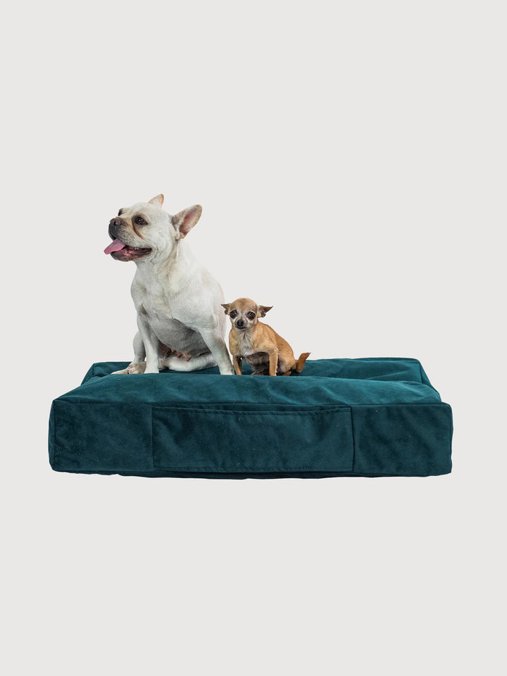 Cama Mascotas Terciopelo PUF - Verde