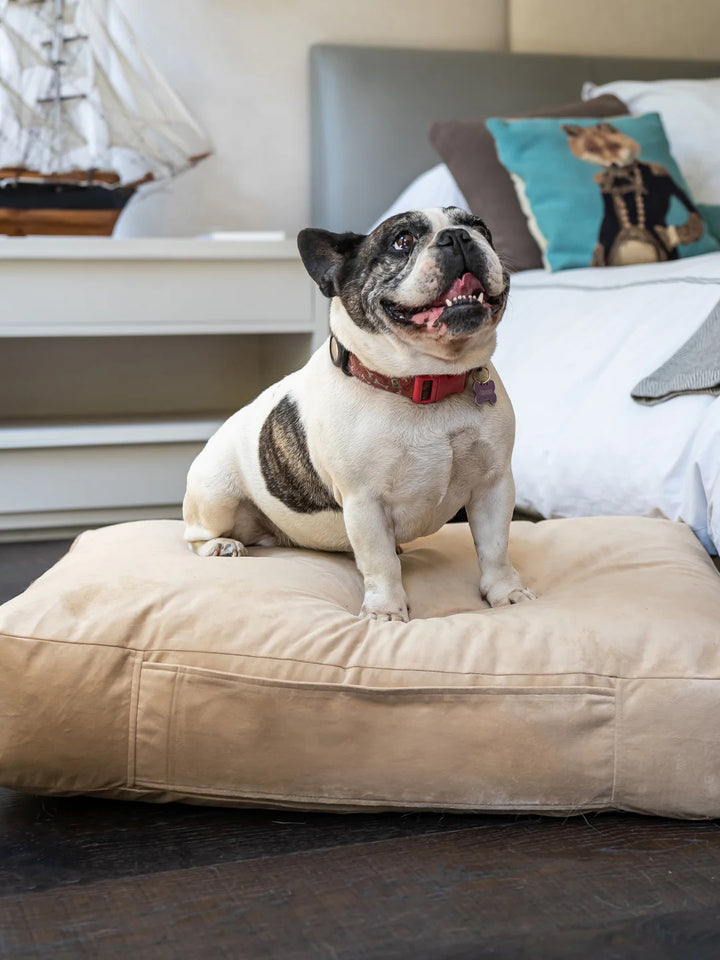 Cama Mascotas Terciopelo PUF - Beige