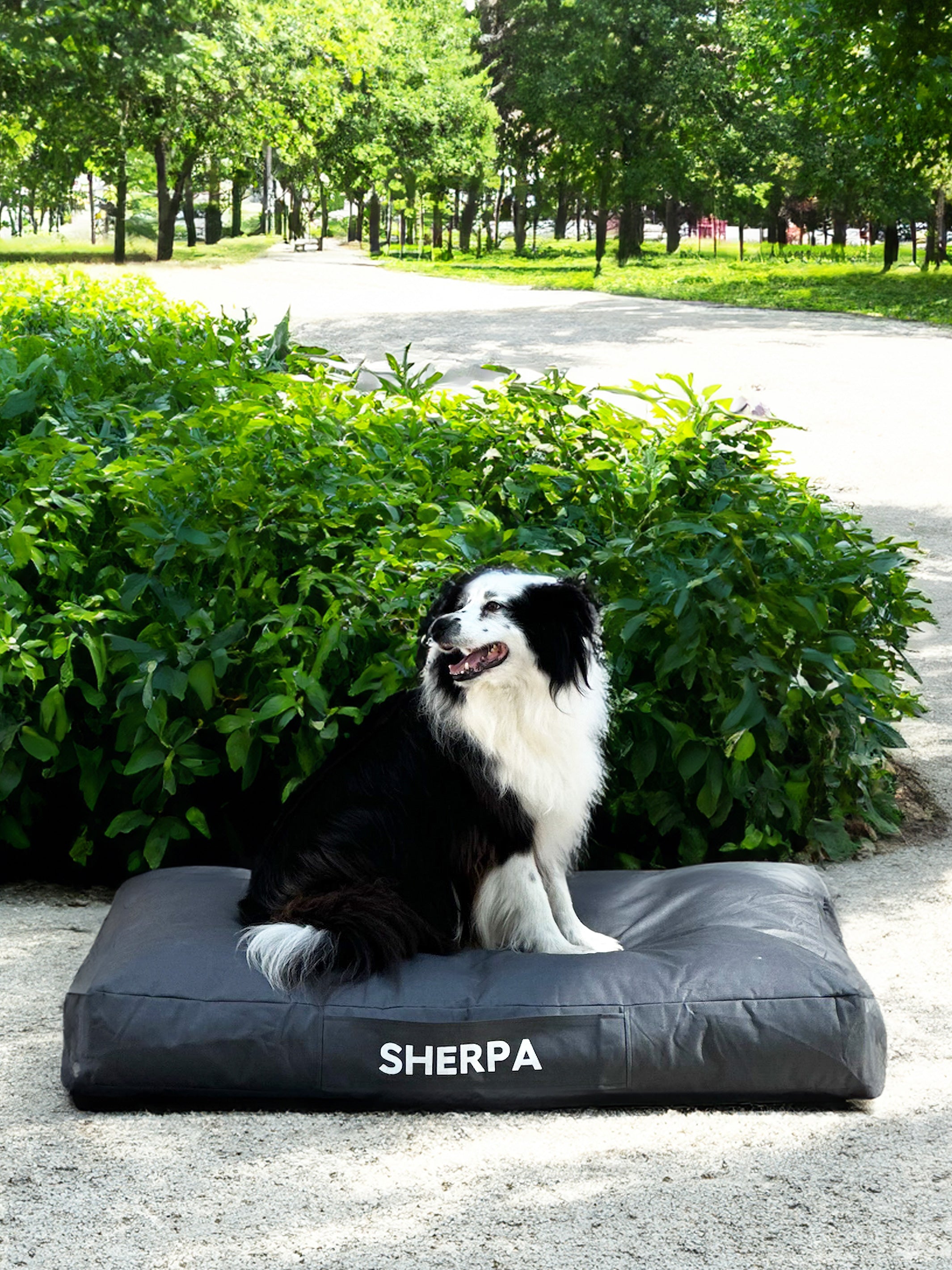 Cama Mascotas Lona PUF - Gris Oscuro