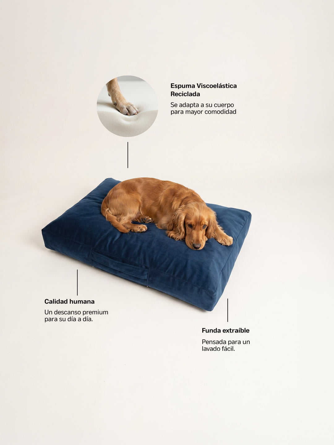Cama Mascotas Terciopelo PUF - Azul
