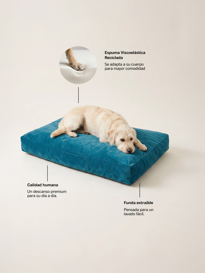 Cama Mascotas Terciopelo PUF - Turquesa